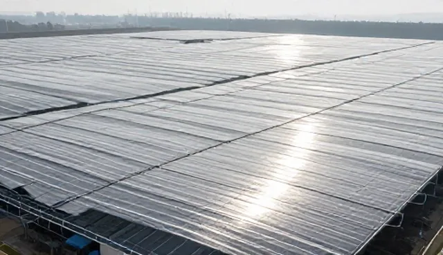 用户互动在网站建设中的实际应用问题分析