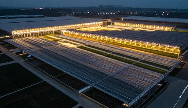 企业网站建设成本控制的关键应用场景分析